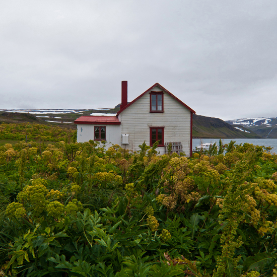 http://dorisreynaud.free.fr/files/gimgs/26_08082012-dsc2490.jpg